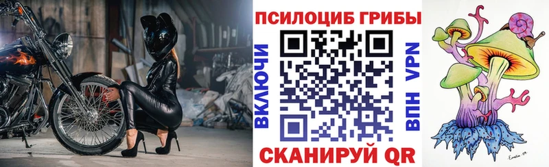 Псилоцибиновые грибы Magic Shrooms  blacksprut зеркало  Наволоки  купить наркотики сайты 